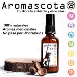 Aromaterapia para animales