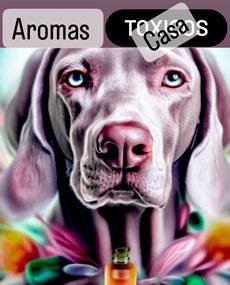 Aromas para mascotas