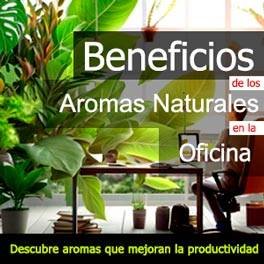 Marketing olfativo para mejorar ambiente laboral