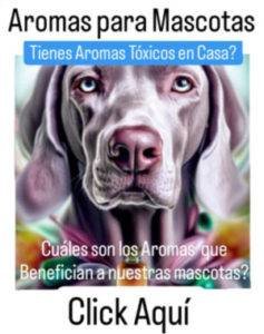 aroma para mascotas